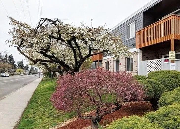 Stark Street Townhomes — Photo 4