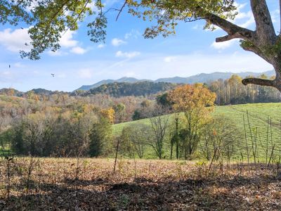 Old Walland Hwy, Walland, TN, 37886