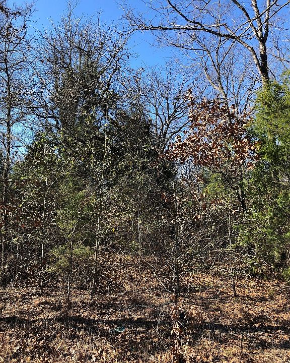 1st image of 170 Kanawka Rd