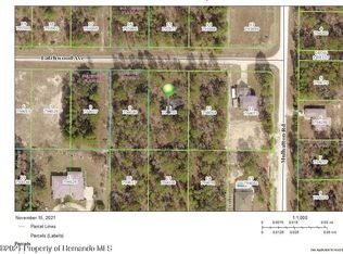 0 Latchwood Ave, Brooksville, FL 34614
