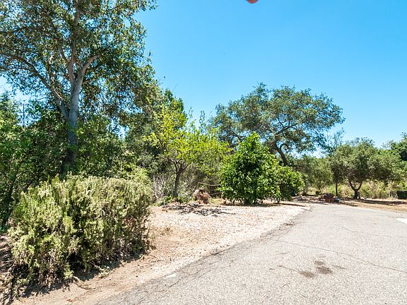 Road and Park Like View