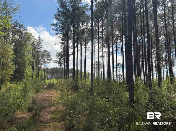 Old Dr, Grove Hill, AL 36451