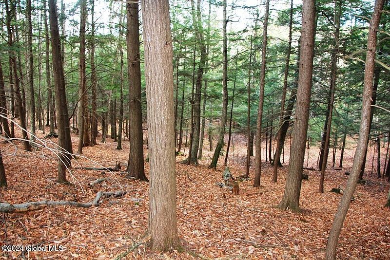 2nd image of L2 Lawton Hollow Road