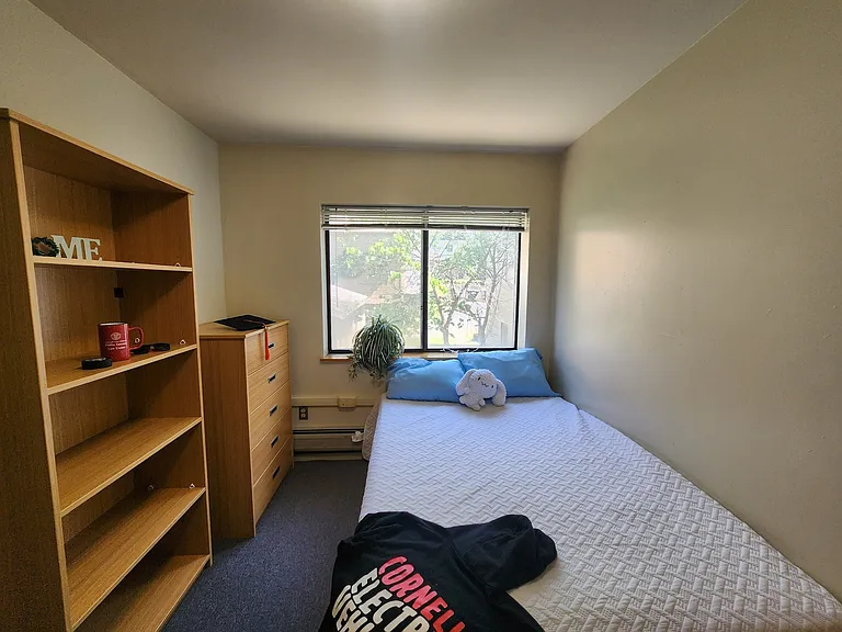 Collegetown Court, 208 Dryden Road — Photo 151