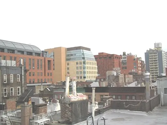 Rented by Benchmark Real Estate Group | media 36