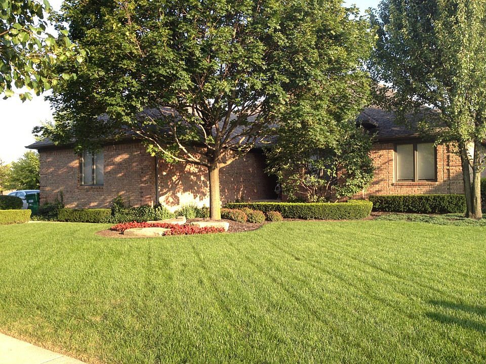 View of front yard