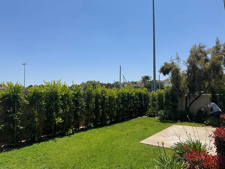 View of lushly landscaped backyard and pebbletec pad.