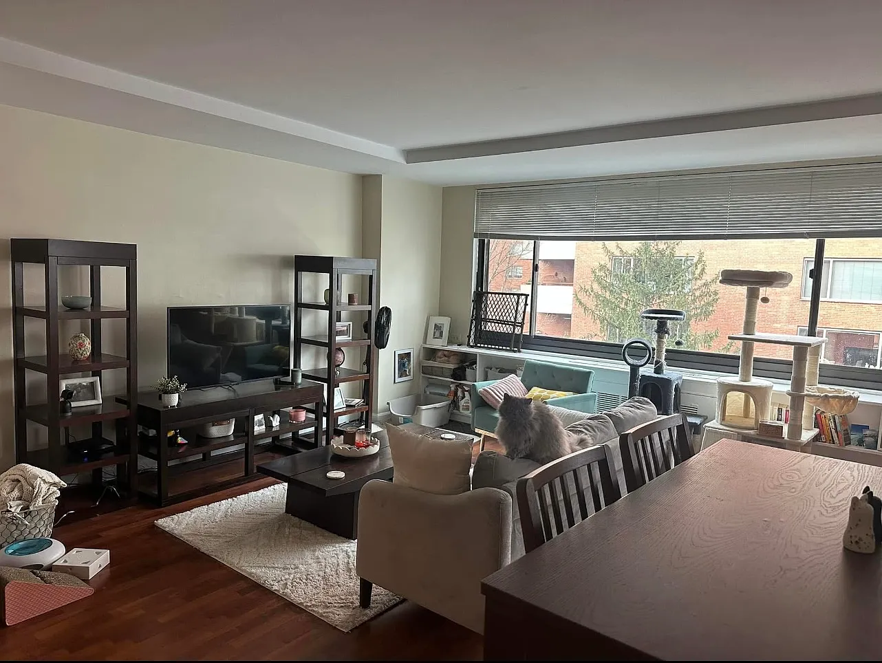 2 bed, 884 sqft, $2,800 — Photo 2