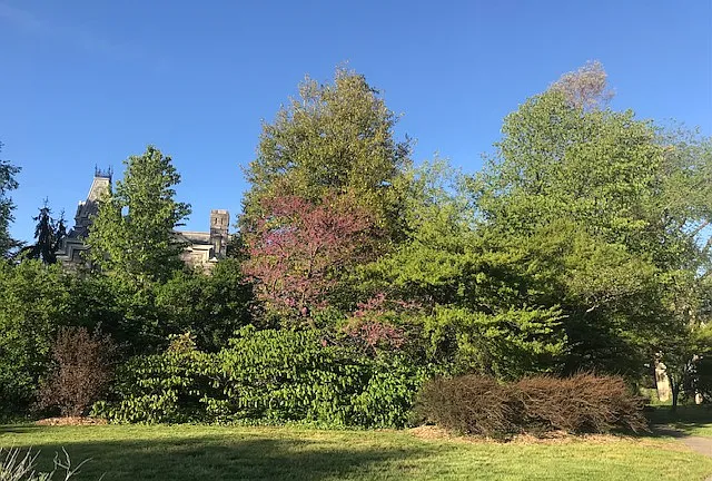 Property Yard