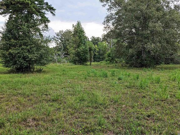 3rd image of 11103 Buddy Ellis Rd