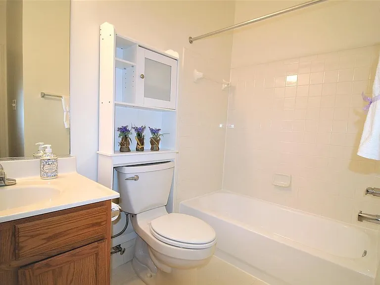 2423 Dew Meadow Ct — Photo 9