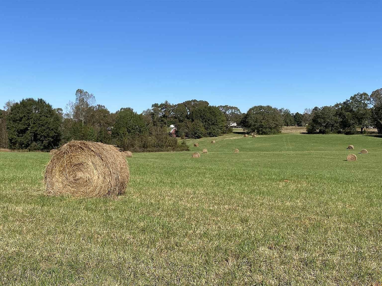 584 Honey Creek Rd, Mcdonough, GA 30252 Zillow