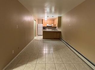 265 Brian Ave #103, Silverthorne, CO 80498