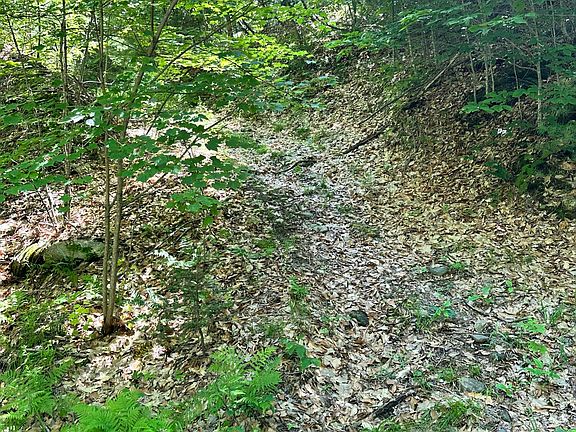 3rd image of M9L140-G Wiley Road