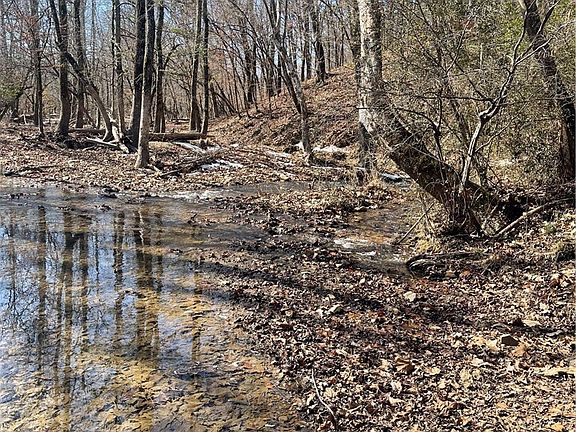 3rd image of 2889 Gourdneck Valley Rd