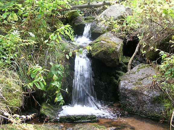 5th image of 8685 Cub Creek Trl