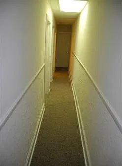 2 bed, 1100 sqft, $1,225 — Photo 3