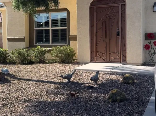 8916 W Blakebrook Rd, Marana, AZ 85653