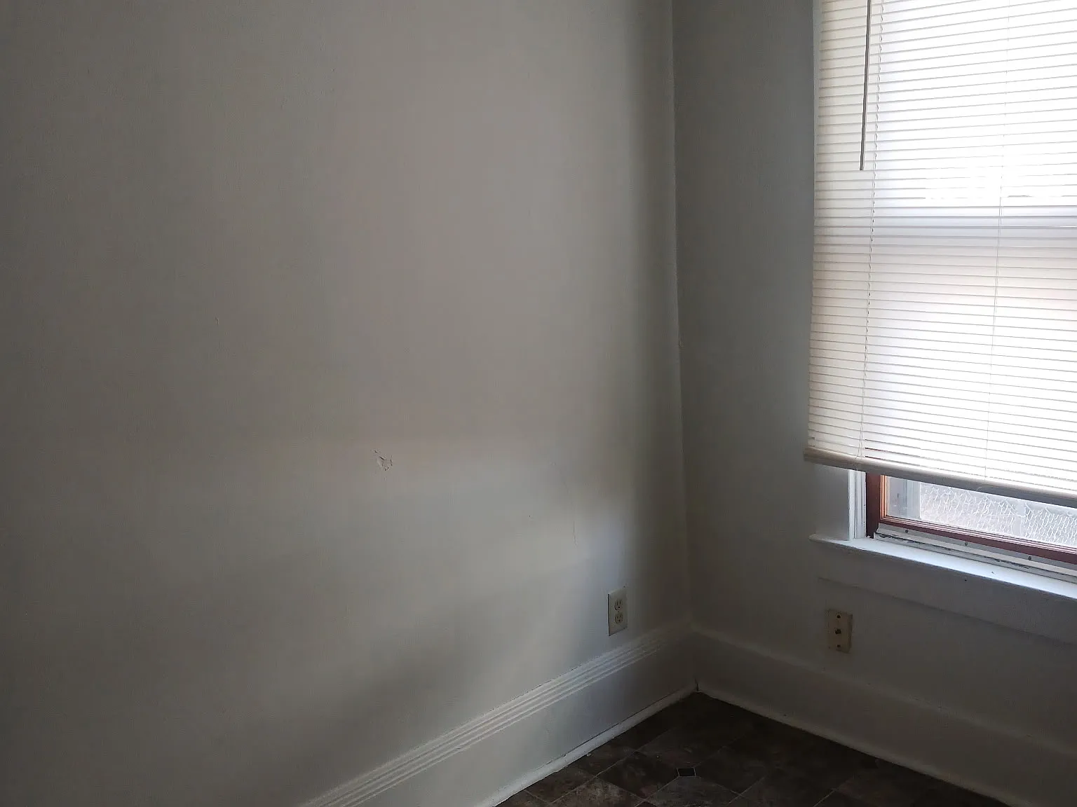 1212 South 22nd Street - Lower rear — Photo 4