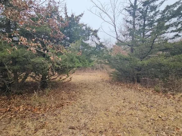 20210 Prairie Willow Ct, Unionville, MO 63565