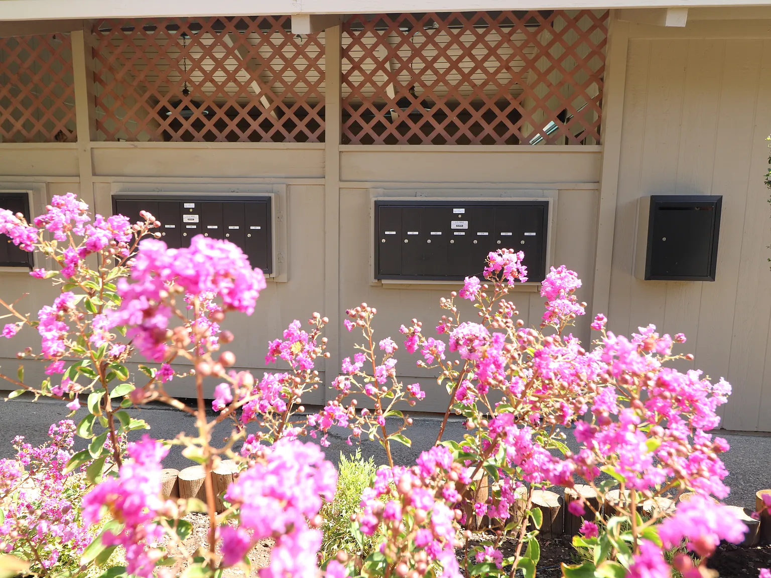 3 bed, 1.5 bath, 1224 sqft, $1,995 — Photo 4