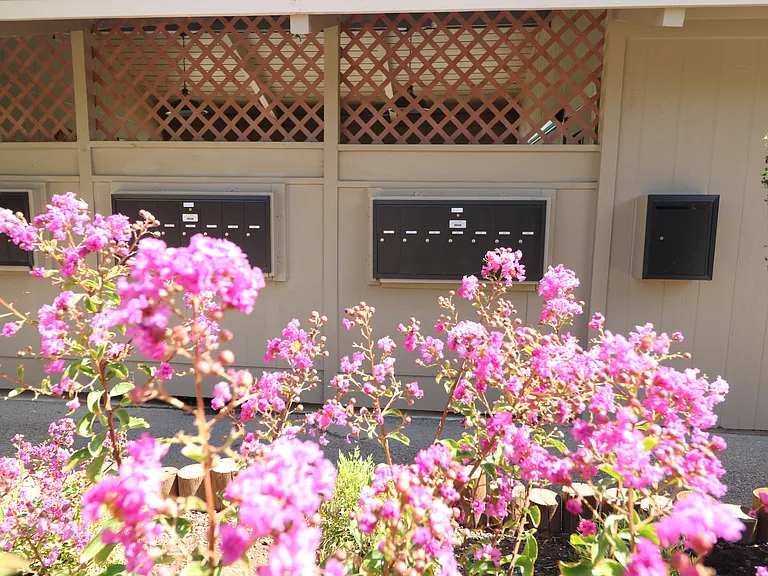 2305 Cheim Blvd #9 — Photo 4