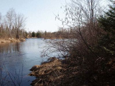 On Woody Rd, Park Falls, WI, 54552