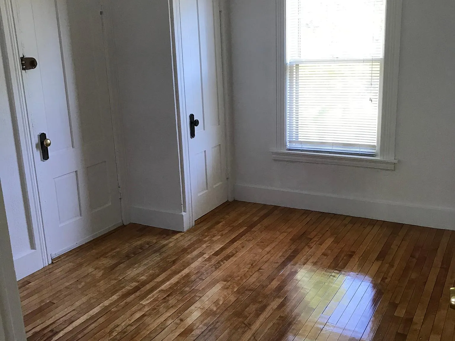 2 bed, 1164 sqft, $1,600 — Photo 4