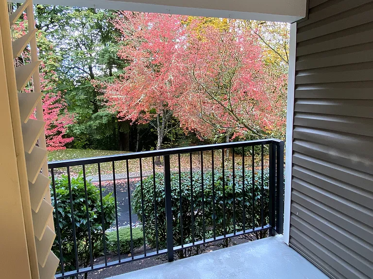 10.Deck Patio