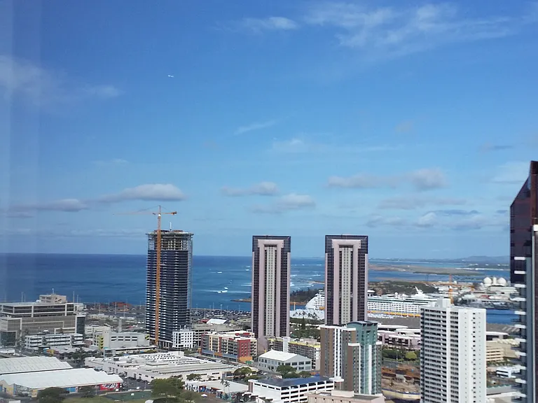 south view from living room