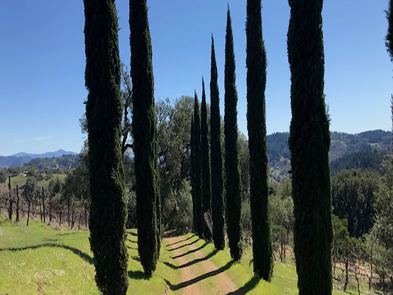 Hiking trails