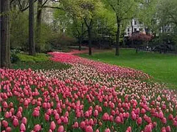 120 Central Park South image 15 of 16