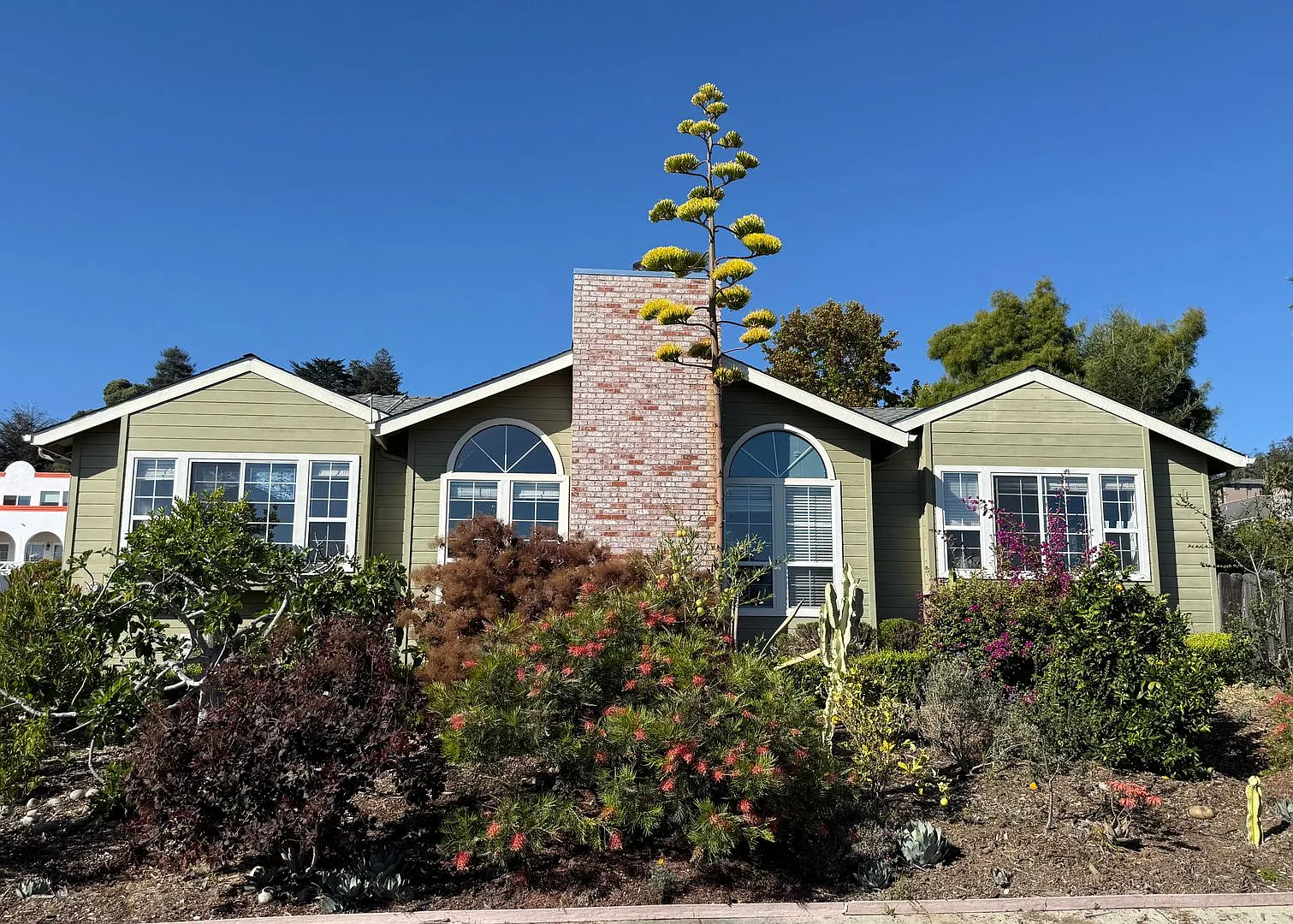 7146 Danko Drive — Photo 3