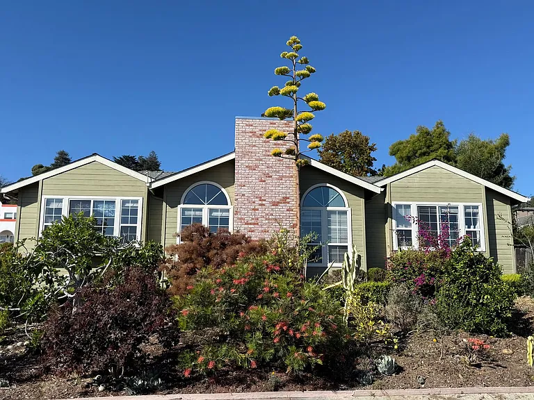 7146 Danko Dr — Photo 3