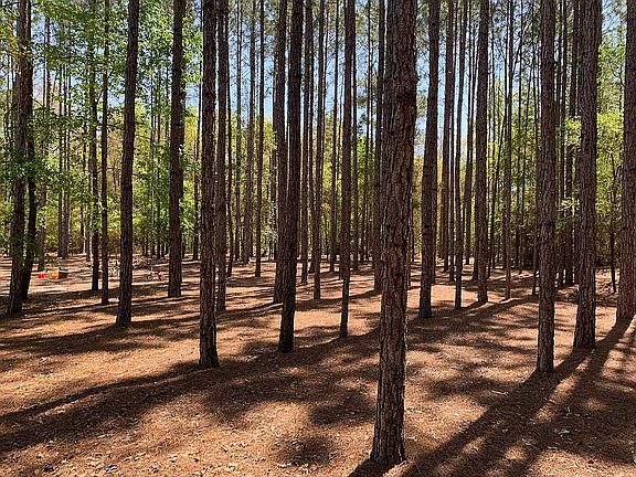 4th image of 32 Scotch Pine Ct