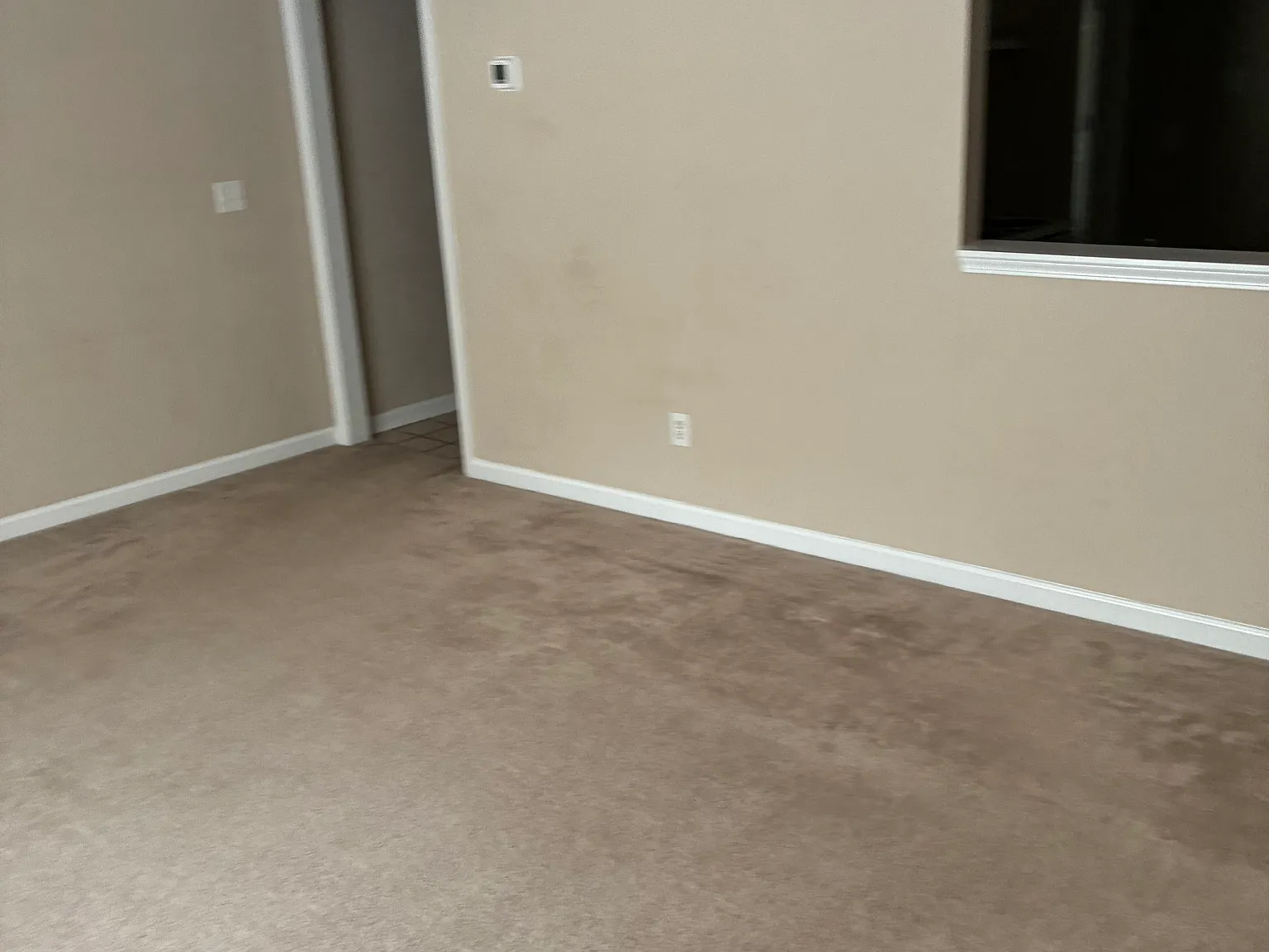 1 bed, 650 sqft, $875 — Photo 3