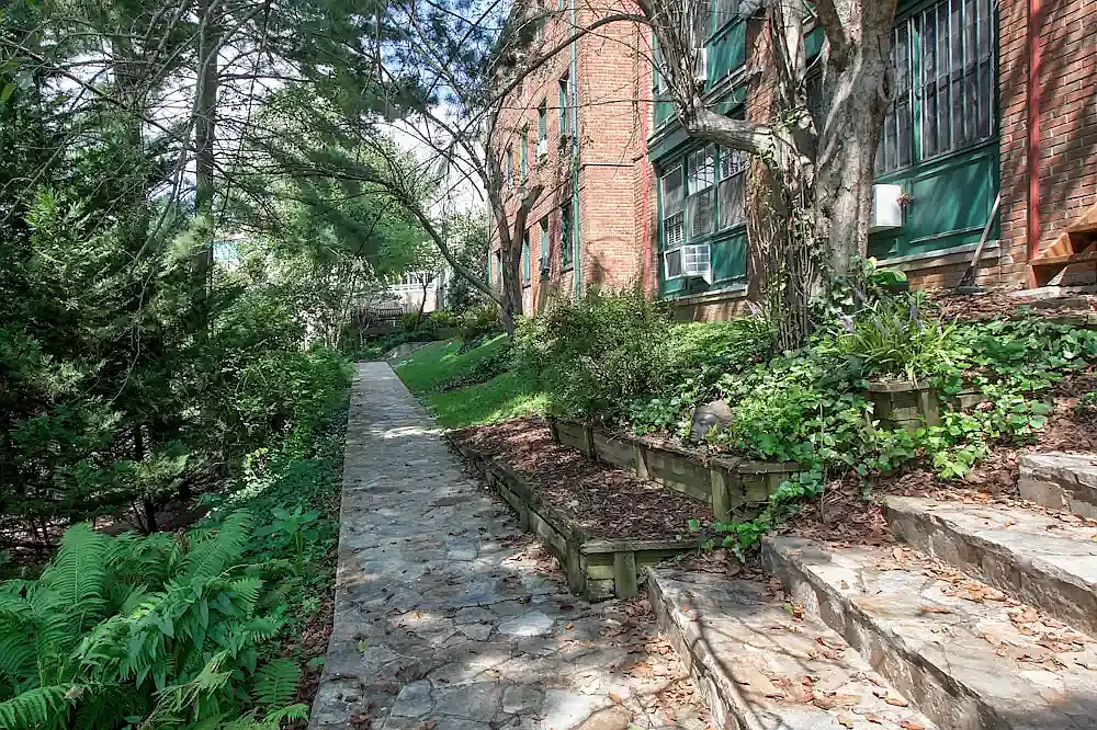 MacArthur Boulevard Apartments — Photo 4