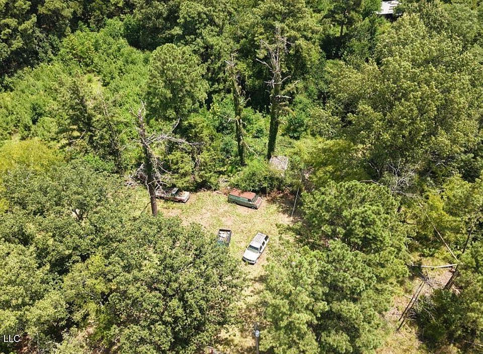 2nd image of 258 Pine Tree Ln
