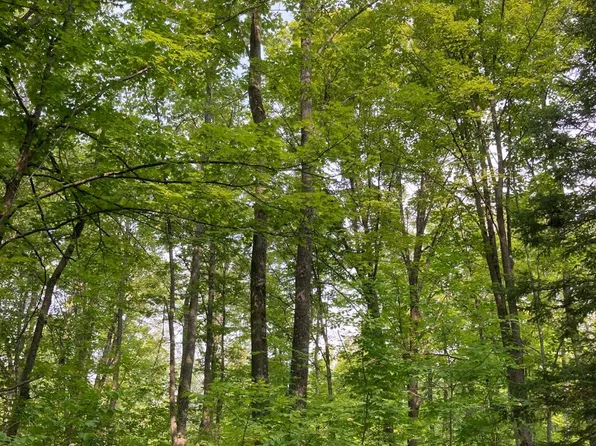 On, Thorp, WI 54771