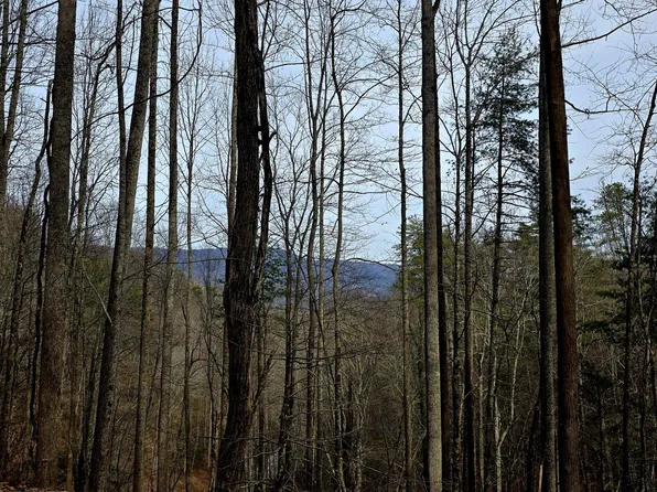 Emerald Springs Loop, Sevierville, TN 37862
