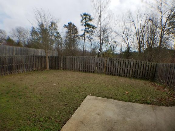 back yard 2