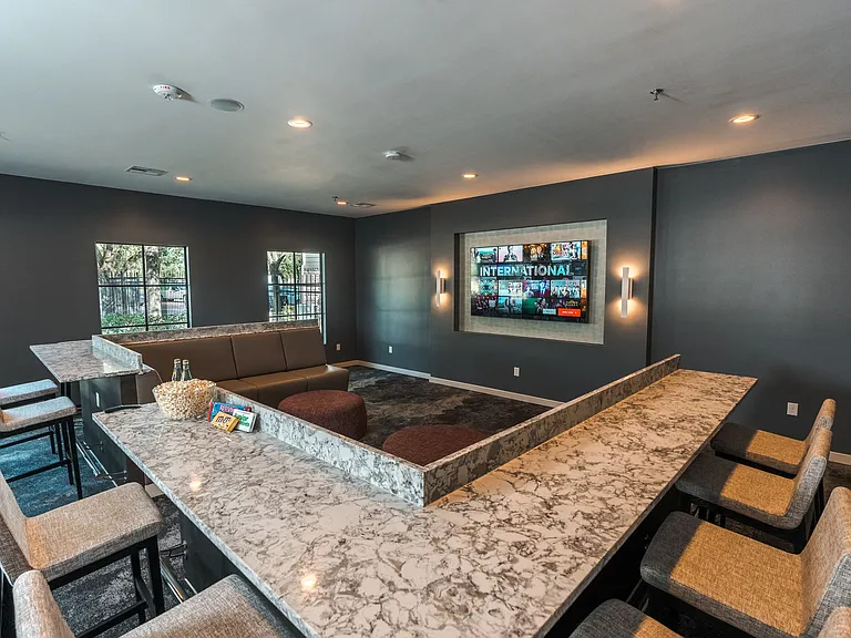Theater room with couches and bar seating