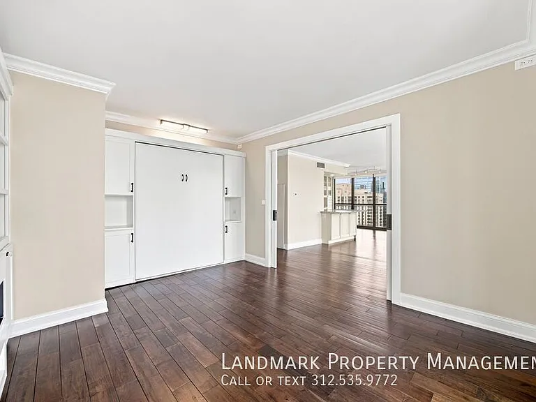 10 E Ontario St #4908 — Photo 18