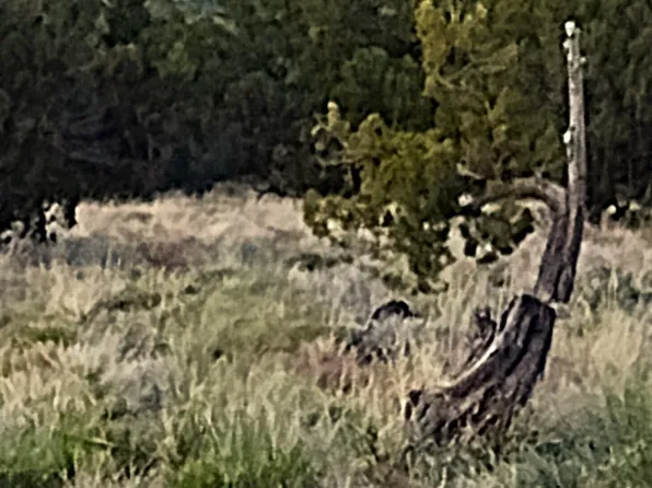 L 62 Johns #&-61, Saint Johns, AZ 85936