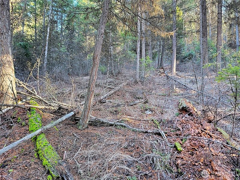 4th image of 9999 TBD Lundimo Meadows Road