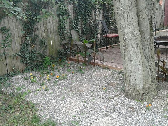 Side of house