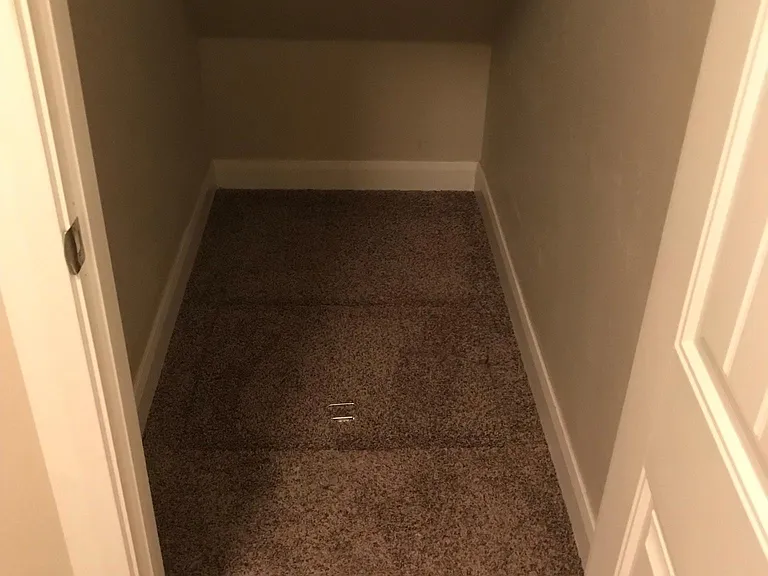 Closet under the stairs