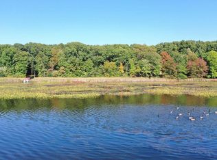 50th Vacant Lake Land 1 St, Grand Junction, MI 49056