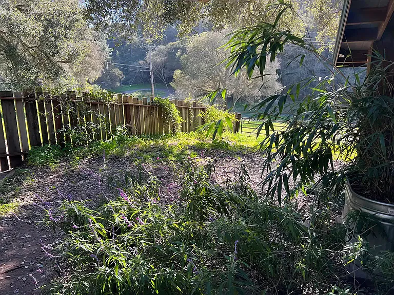 Hambey Ln — Photo 17