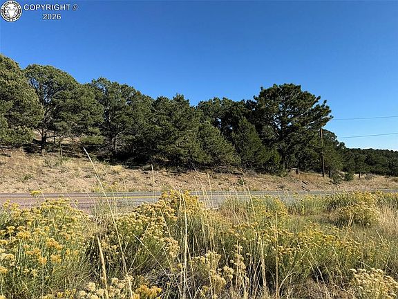 4th image of 50 Copper Gulch Rd